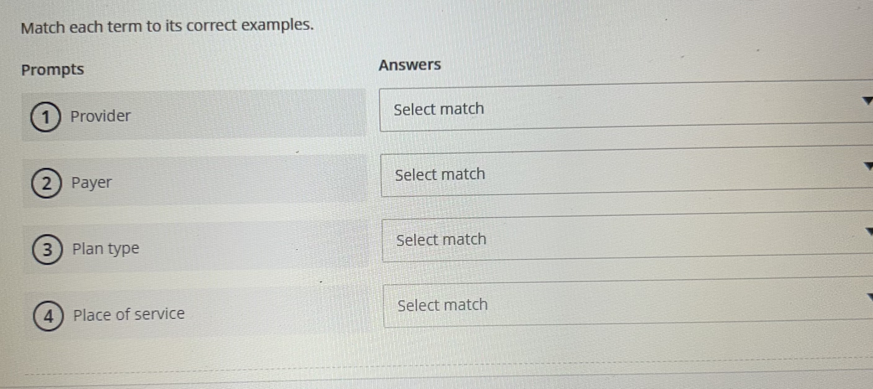  Match each term to its correct examples. Prompts Provider Payer Plan