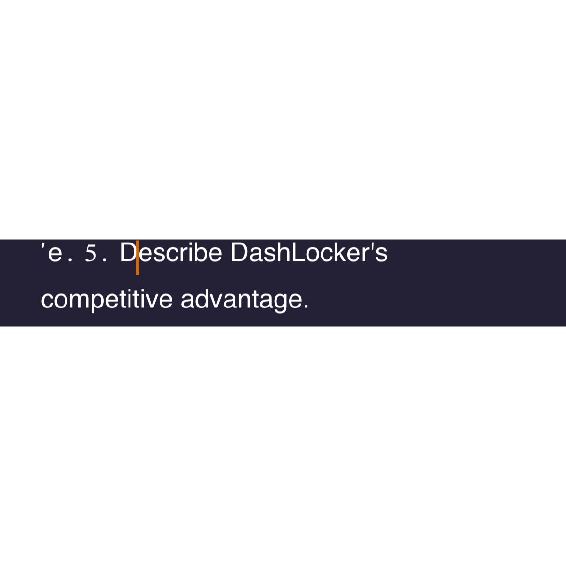 'e.5. Describe DashLocker's competitive advantage. 
