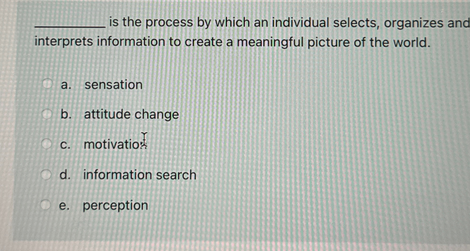  is the process by which an individual selects, organizes and interprets