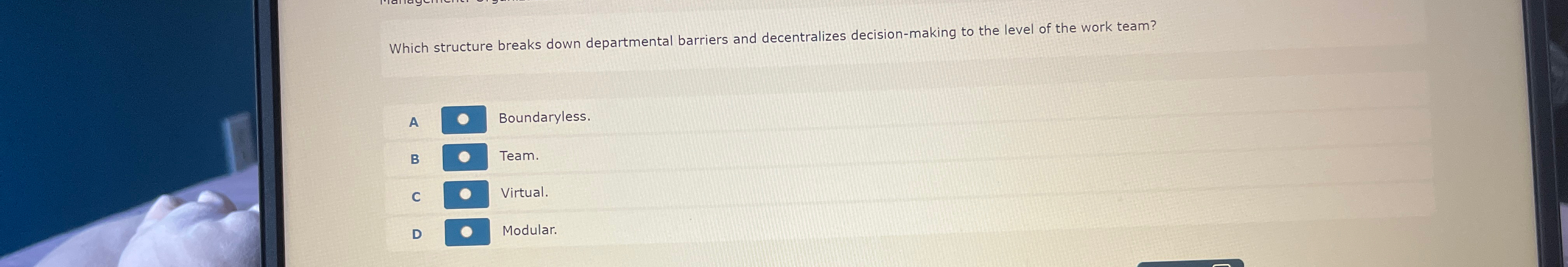 Which structure breaks down departmental barriers and decentralizes decision-making to the