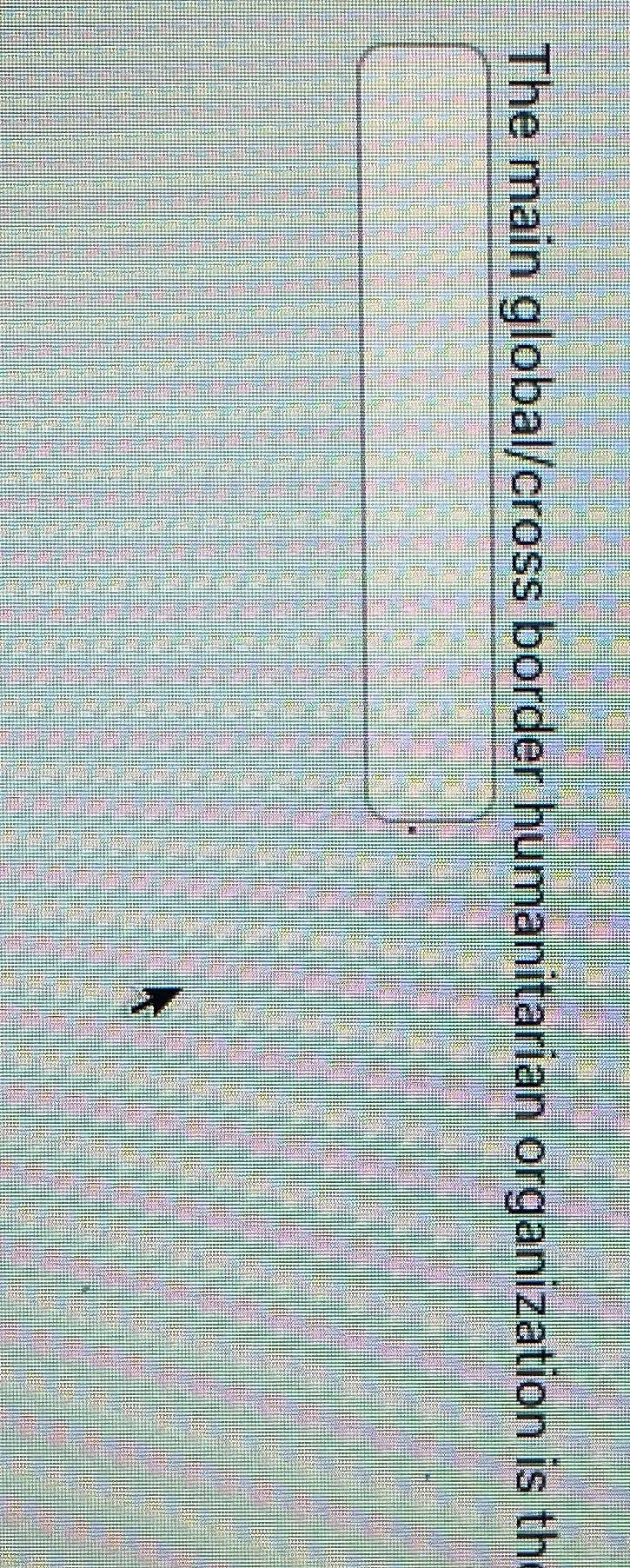  The main global/cross border humanitarian organization is 