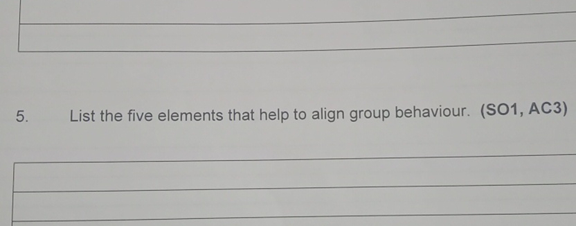  List the five elements that help to align group behaviour. (SO1,