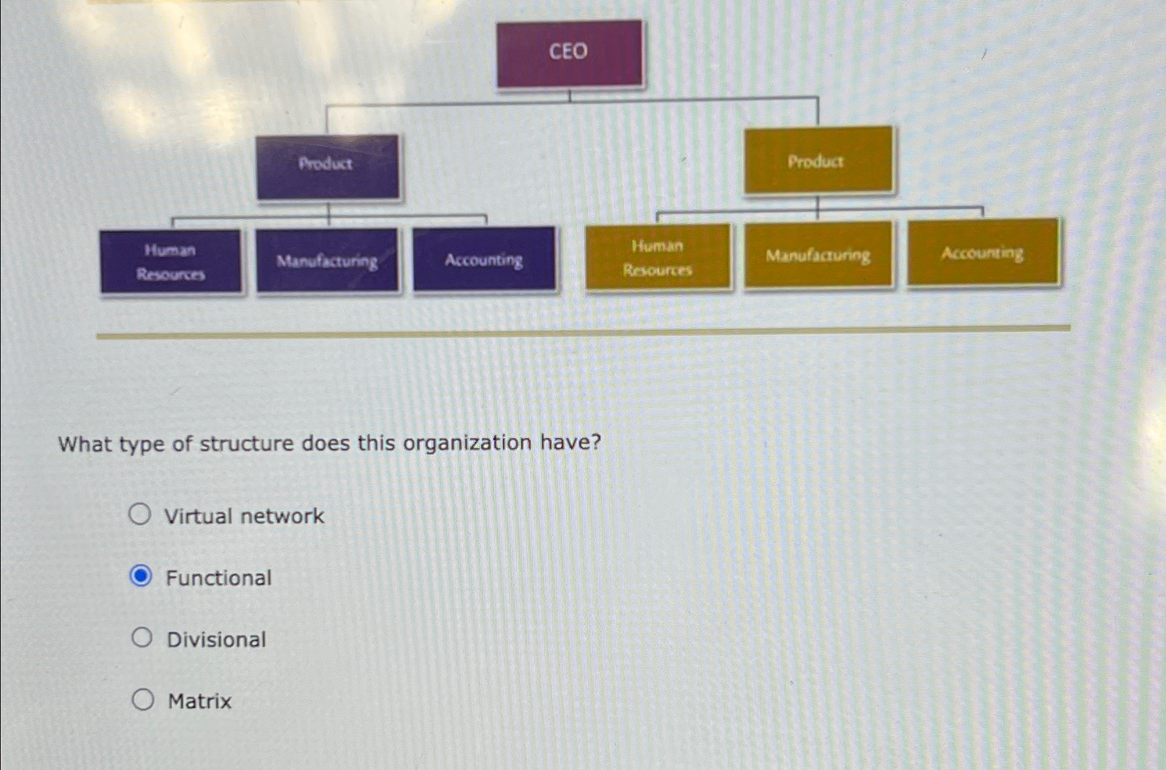  What type of structure does this organization have? Virtual network Functional