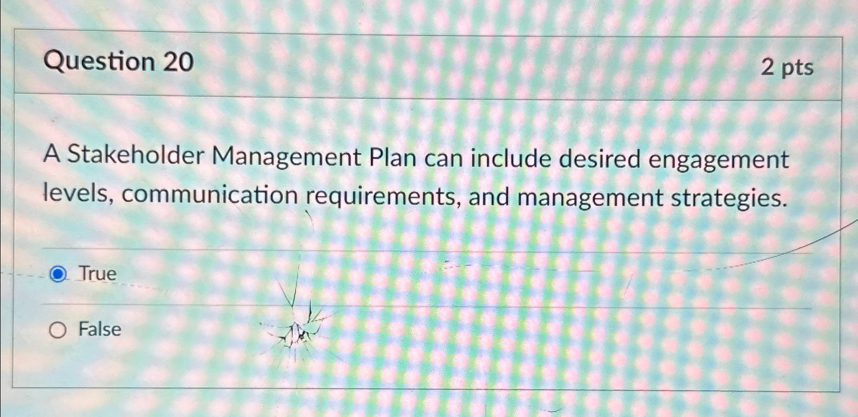  Question 20 2 pts A Stakeholder Management Plan can include desired