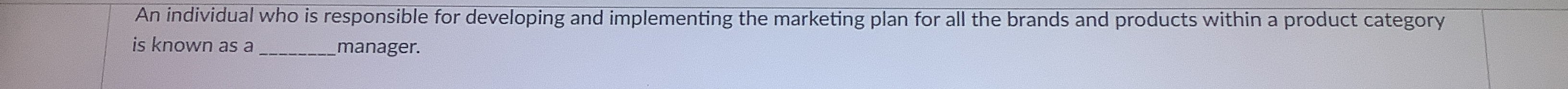  An individual who is responsible for developing and implementing the marketing
