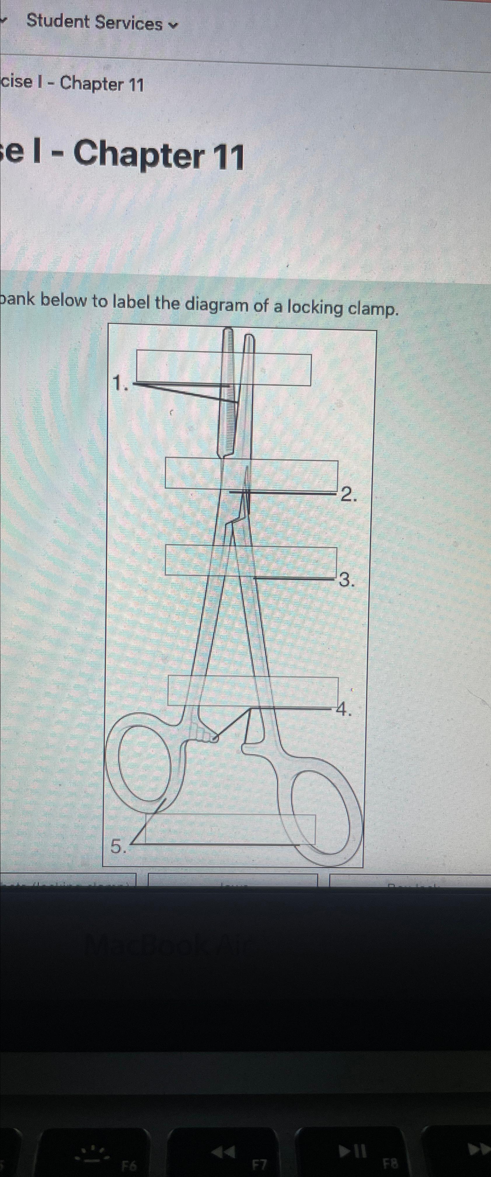  Student Services cise I - Chapter 11 I - Chapter 11