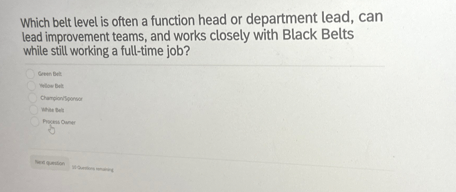  Which belt level is often a function head or department lead,