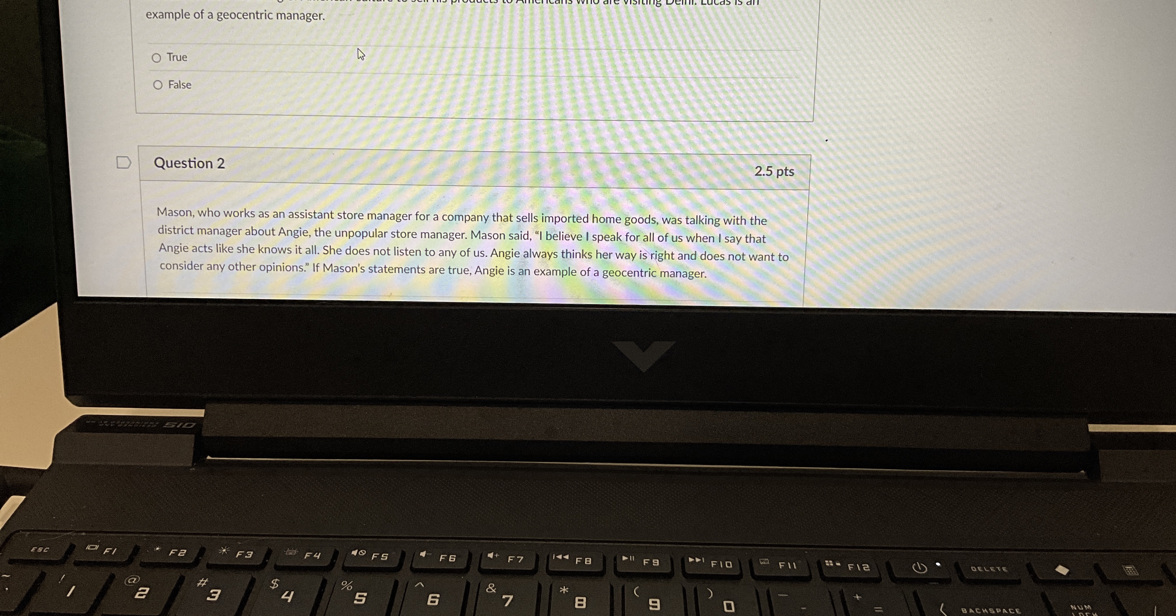  example of a geocentric manager. True False Question 2 Mason, who