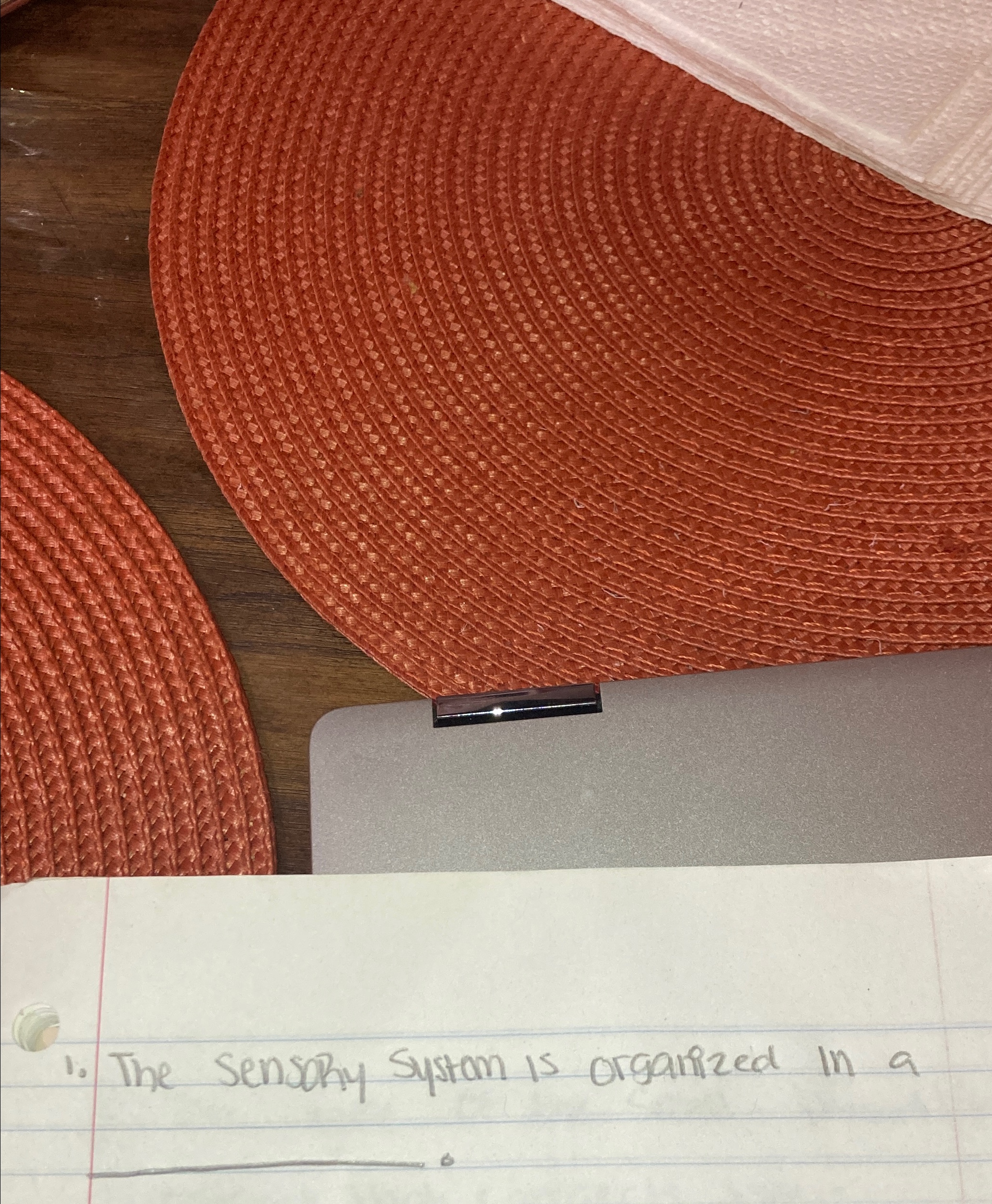  The sensohy system is organized in a 