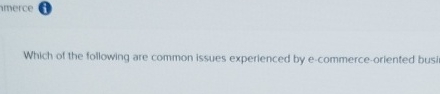  Which of the following are common issues experienced by e-commerce-oriented business?