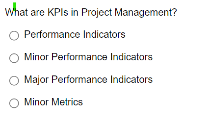  What are KPIs in Project Management? Performance Indicators Minor Performance Indicators