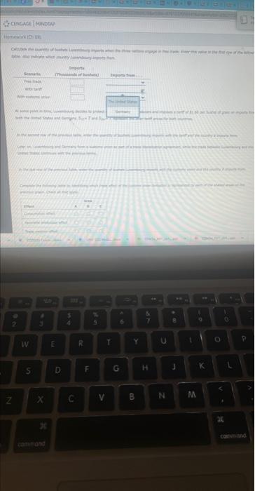 a When inus Wettus witists a a