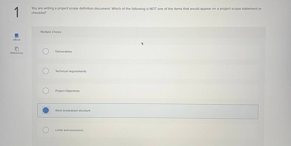  1 You are writing a project scope definition document. Which of