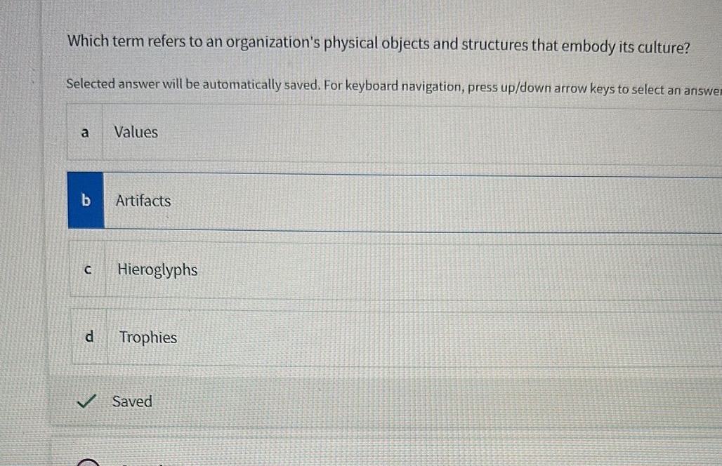 Which term refers to an organization's physical objects and structures that