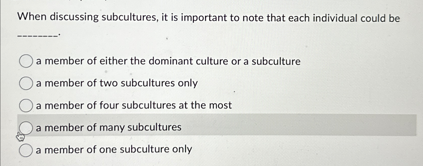  When discussing subcultures, it is important to note that each individual