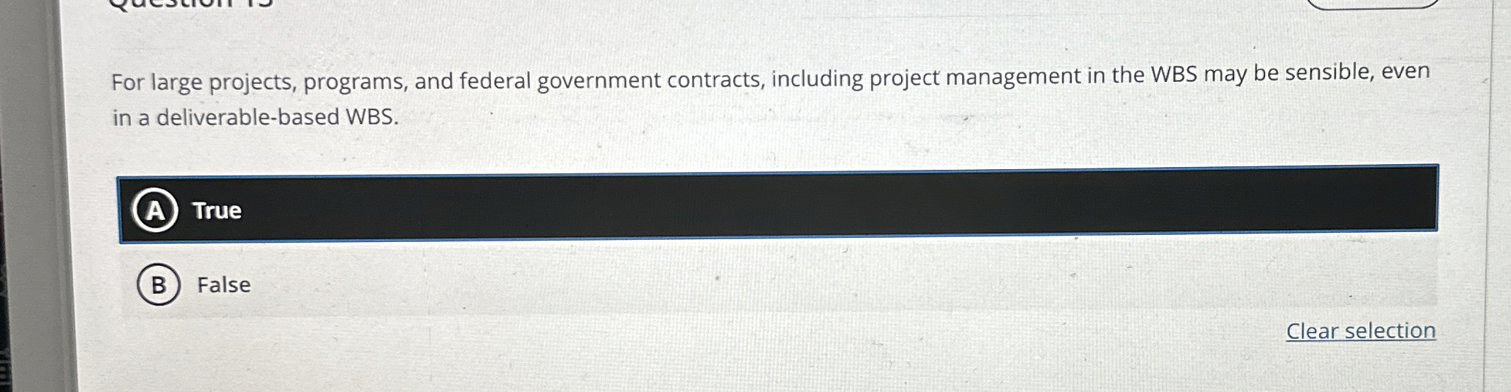  For large projects, programs, and federal government contracts, including project management
