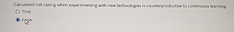  Calculated risk-taking when experimenting with new technologies is counterproductive to continuous