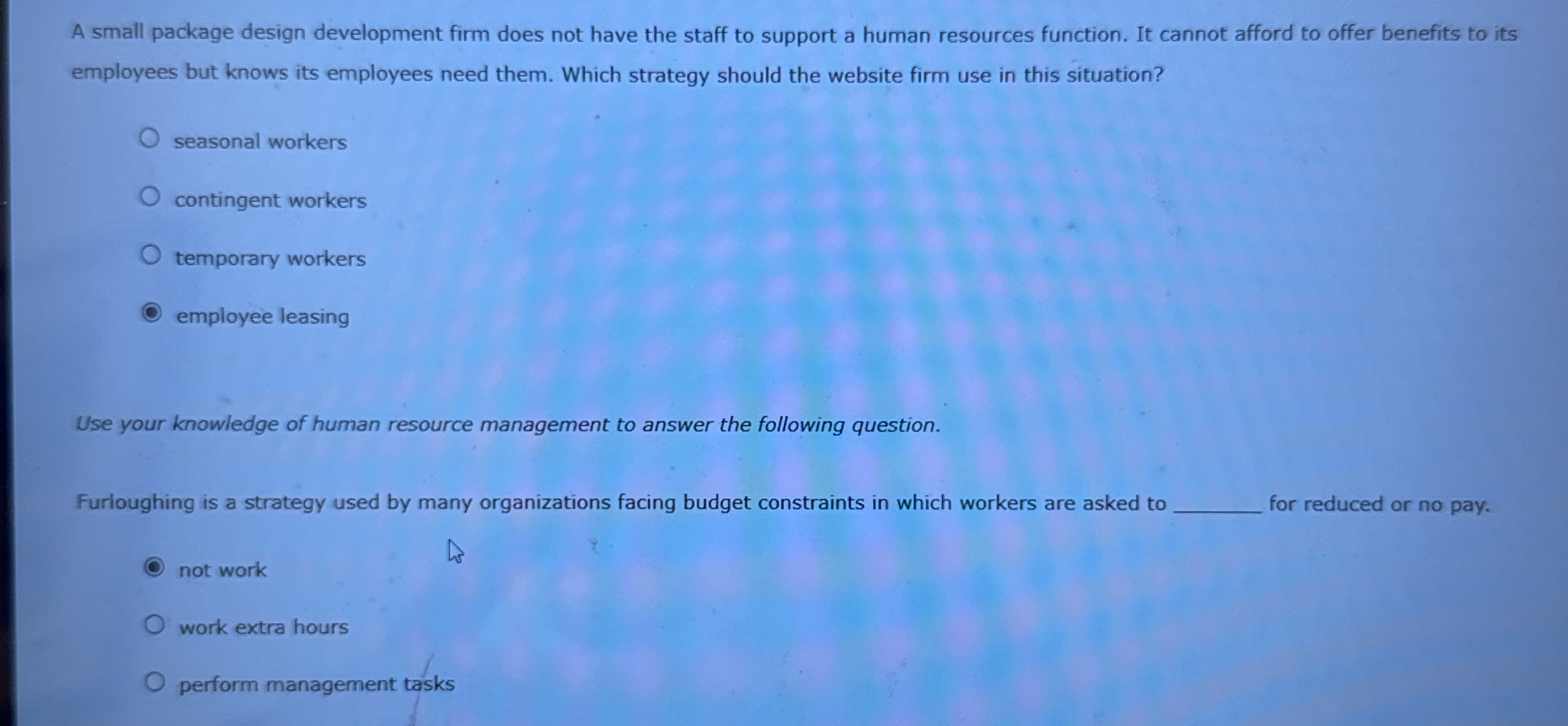  A small package design development firm does not have the staff