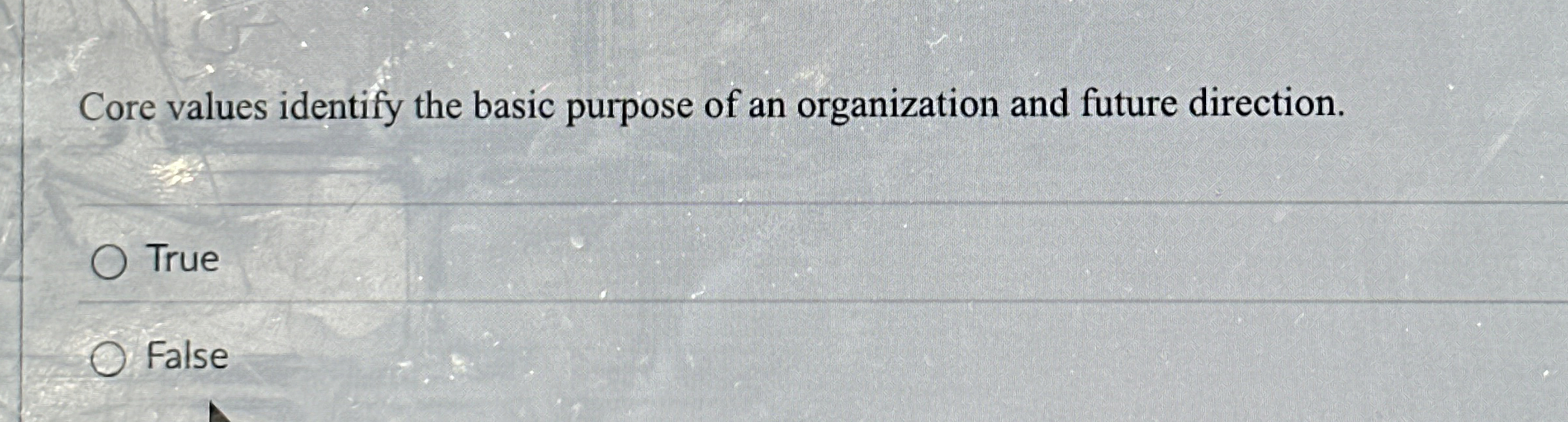  Core values identify the basic purpose of an organization and future