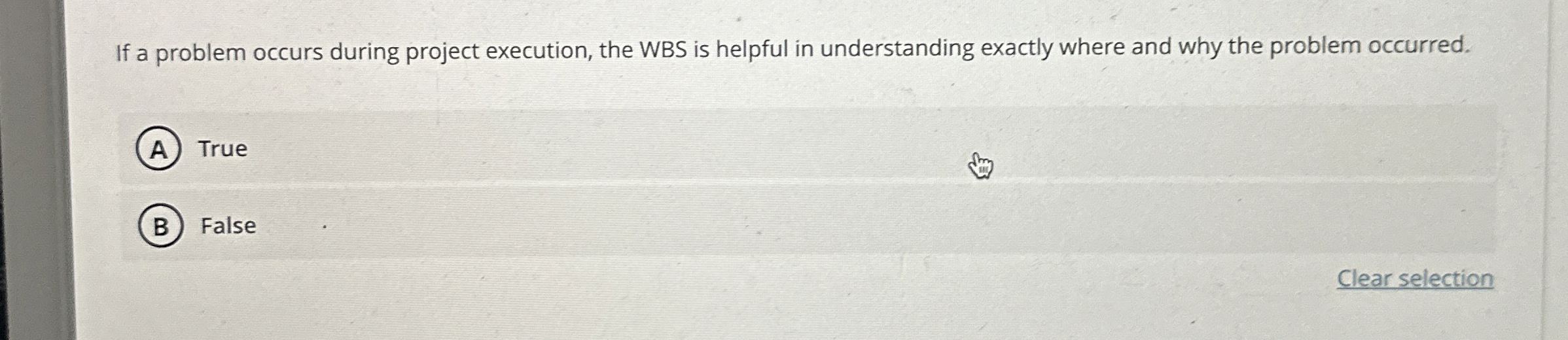  If a problem occurs during project execution, the WBS is helpful