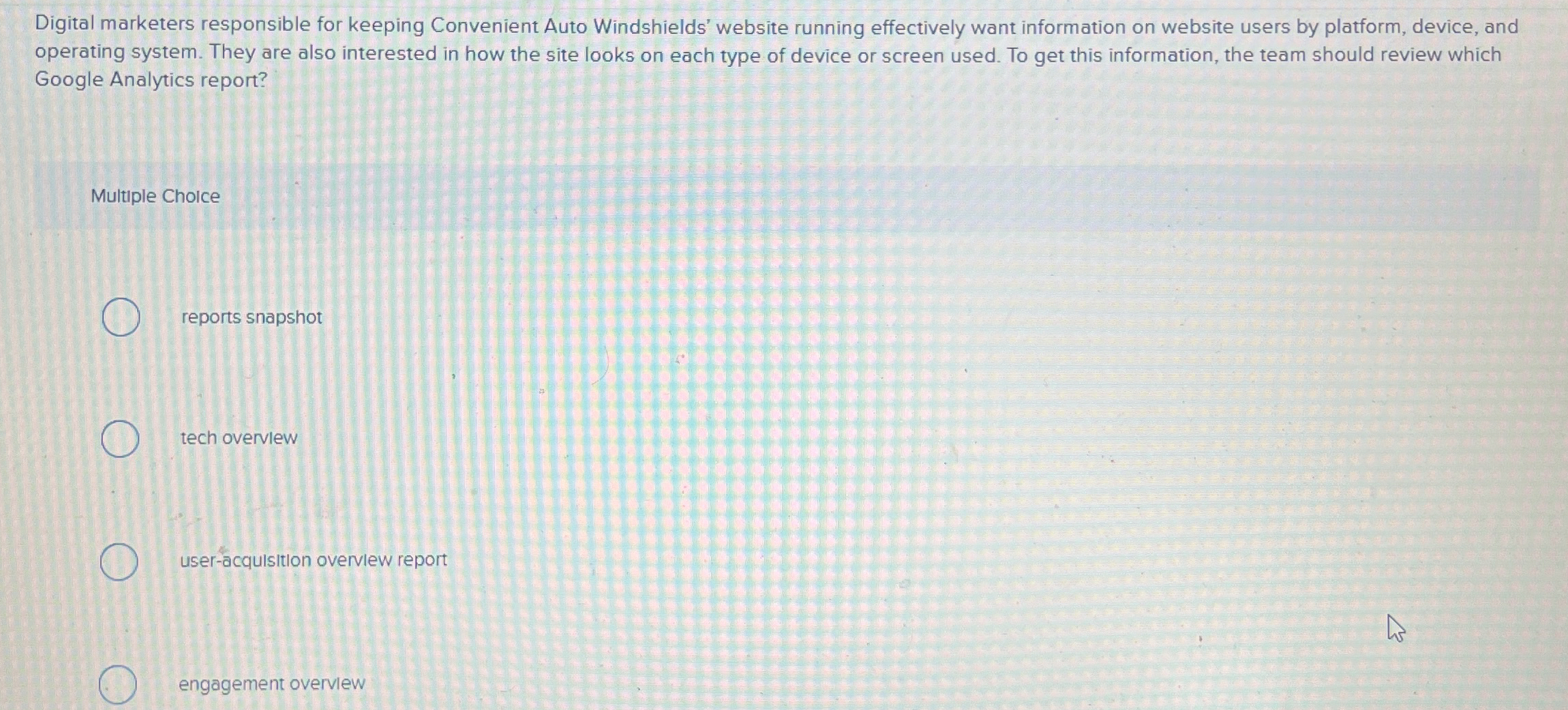  Digital marketers responsible for keeping Convenient Auto Windshields' website running effectively