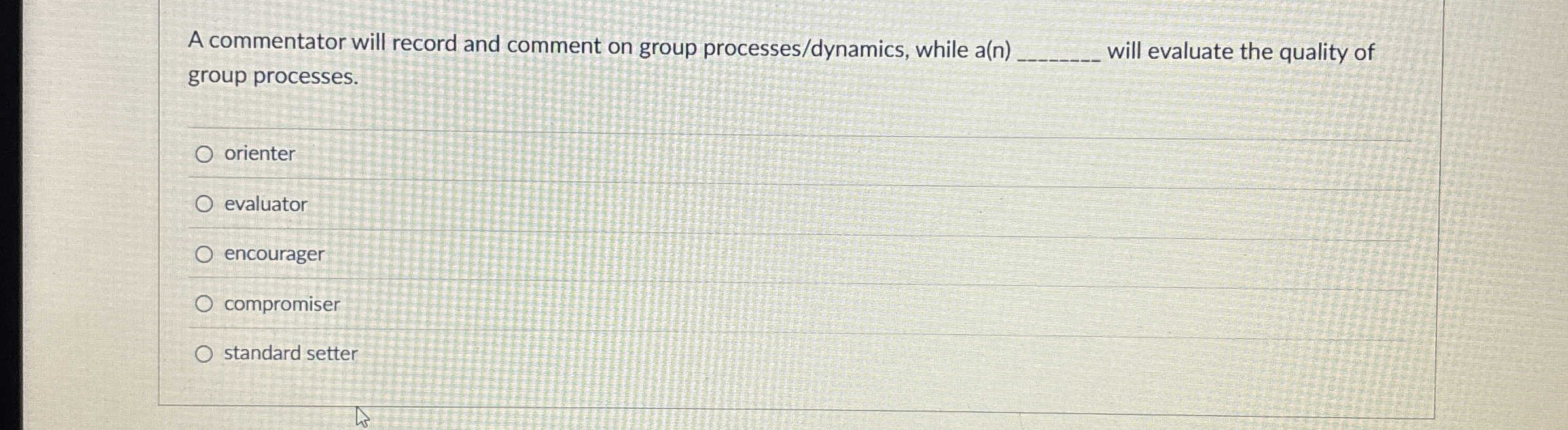  A commentator will record and comment on group processes/dynamics, while a(n)q,
