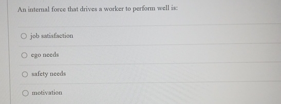  An internal force that drives a worker to perform well is: