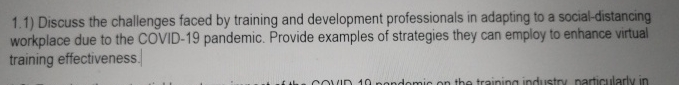  1.1) Discuss the challenges faced by training and development professionals in