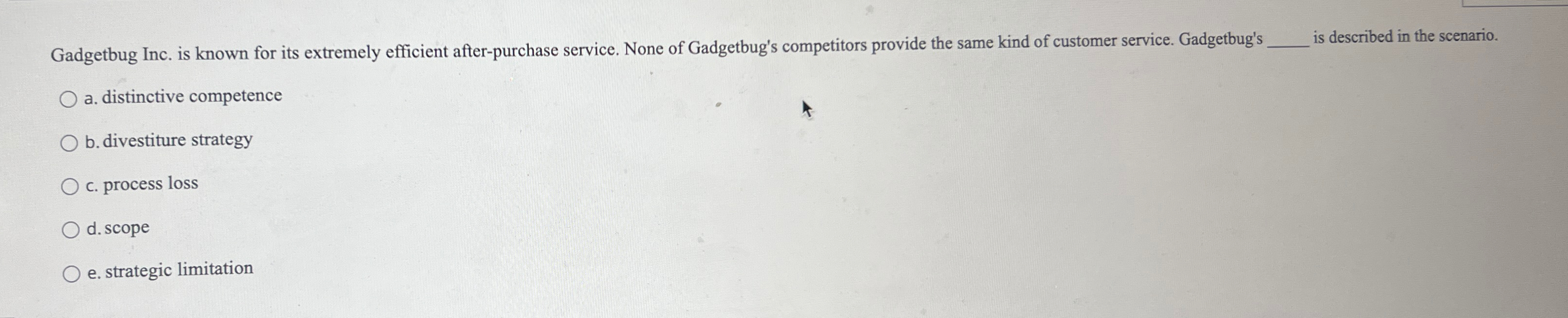 Gadgetbug Inc. is known for its extremely efficient after-purchase service. None