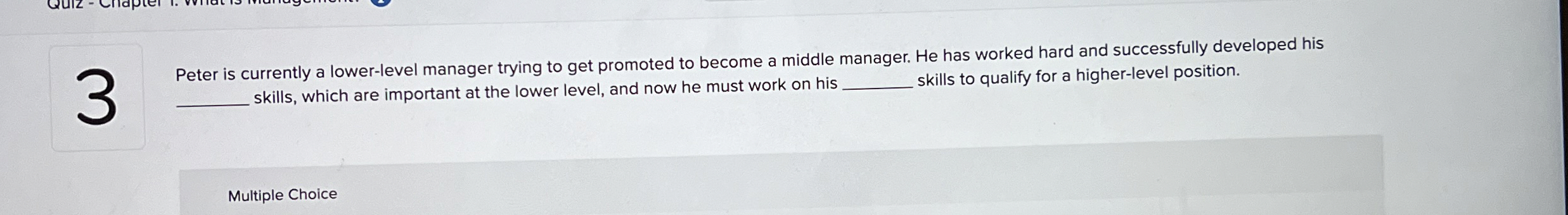  3 Peter is currently a lower-level manager trying to get promoted