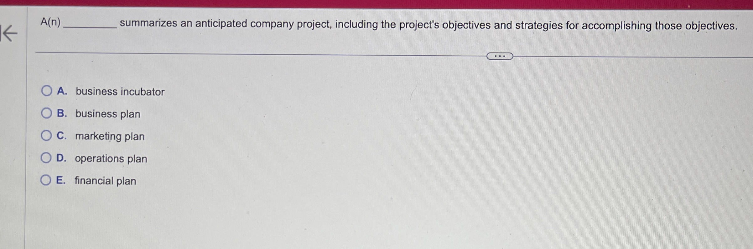  A(n) summarizes an anticipated company project, including the project's objectives and