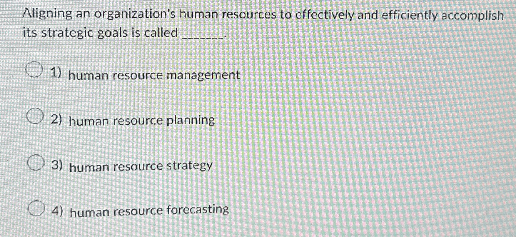  Aligning an organization's human resources to effectively and efficiently accomplish its