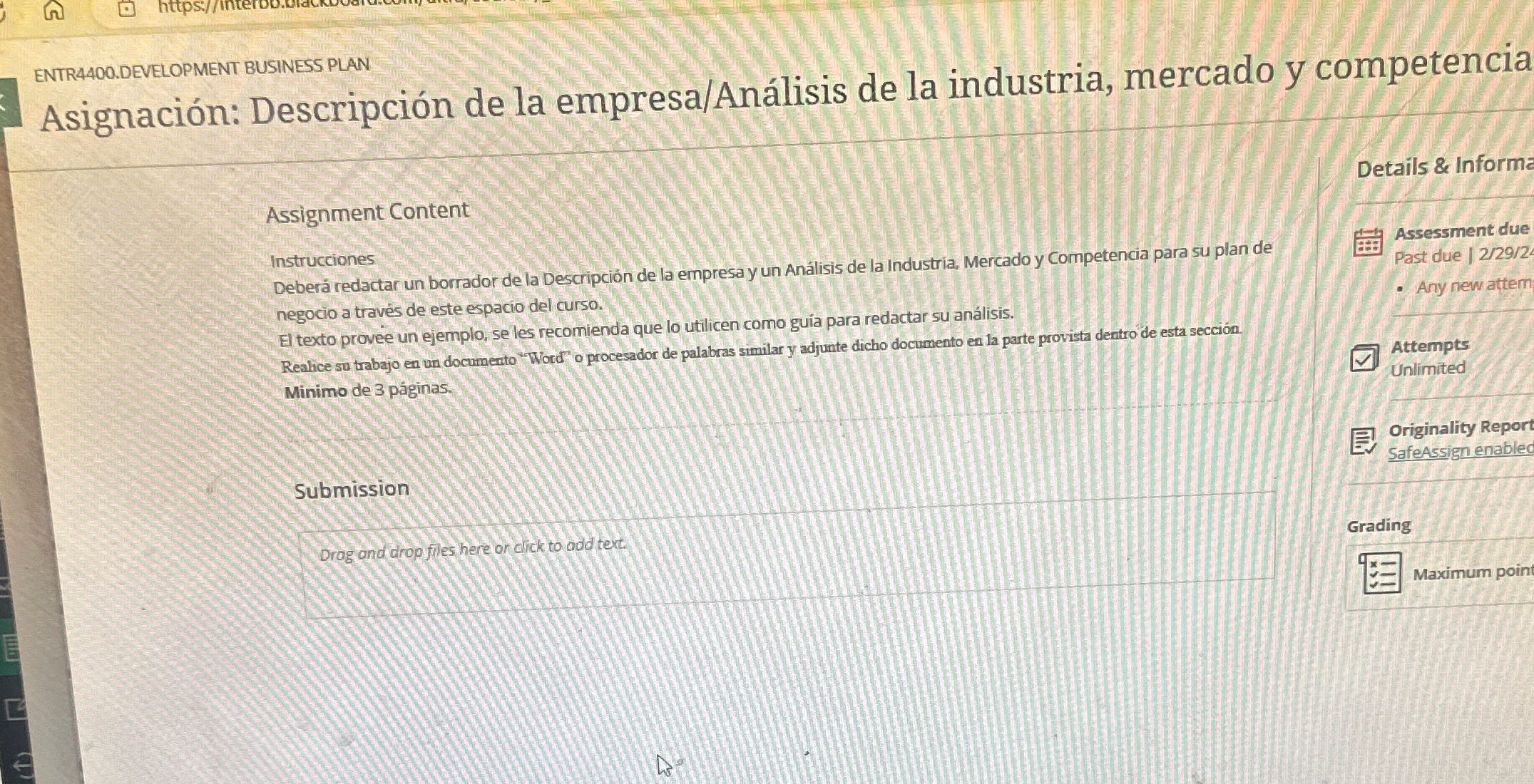  ENTR4400.DEVELOPMENT BUSINESS PLAN Asignacin: Descripcin de la empresa/Anlisis de la industria,