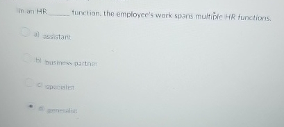  In an HR function. the employee's work spans multiple HR functions.