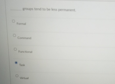  groups tend to be less permanent. Formal Command Functional Task Virtual
