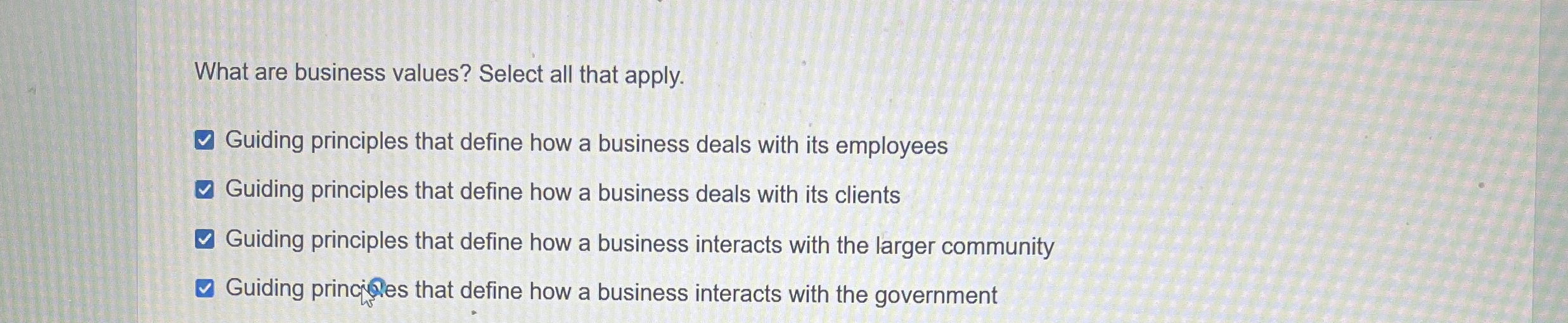  What are business values? Select all that apply. Guiding principles that