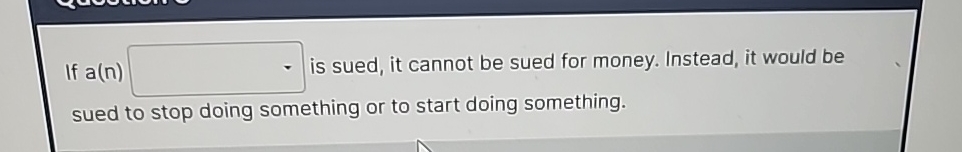 If a(n) is sued, it cannot be sued for money. Instead,