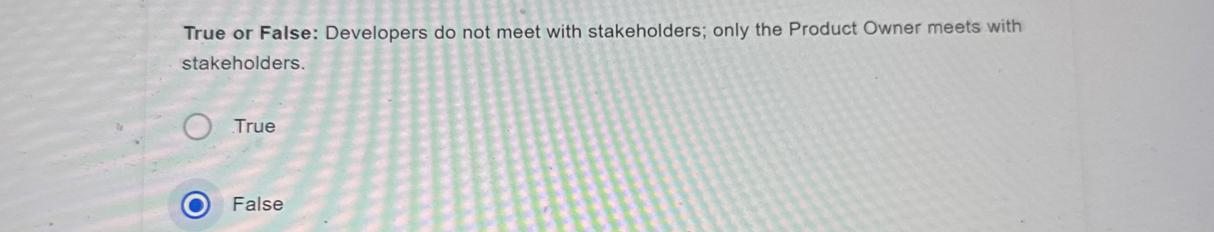  True or False: Developers do not meet with stakeholders; only the