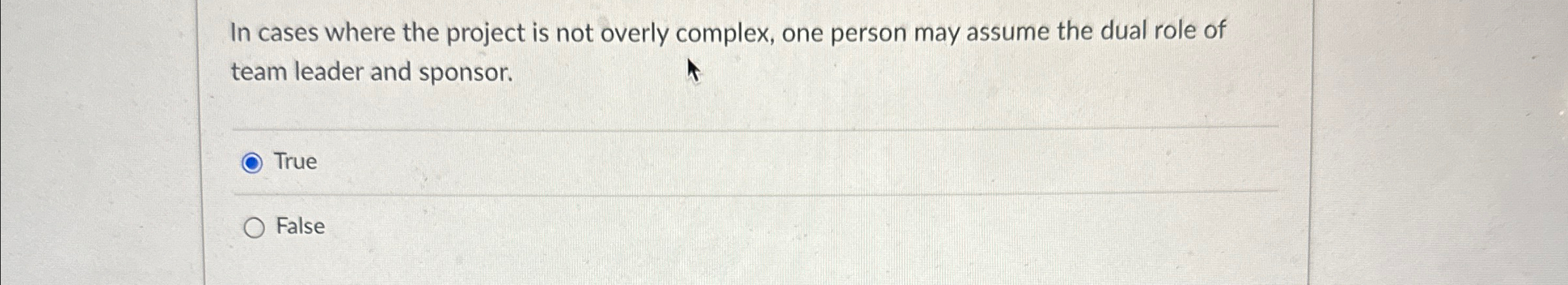  In cases where the project is not overly complex, one person