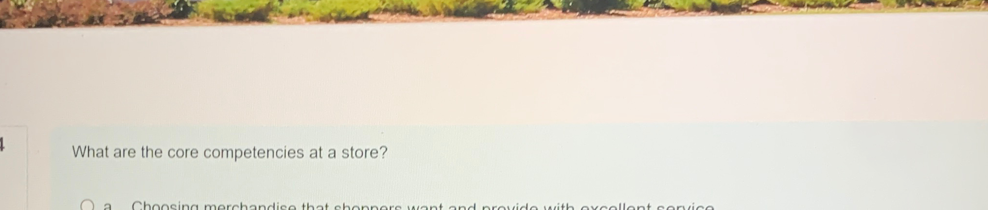  What are the core competencies at a store? 