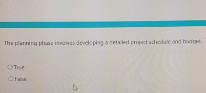  The planning phase involves developing a detailed project schedule and budget.