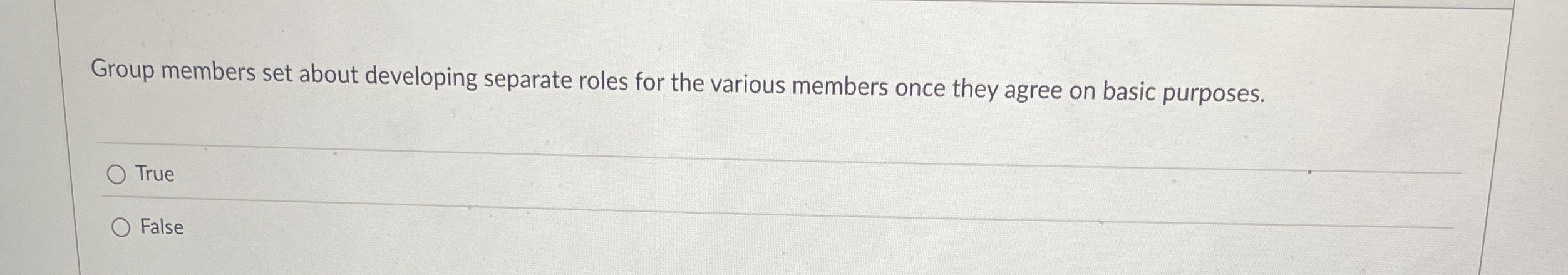  Group members set about developing separate roles for the various members