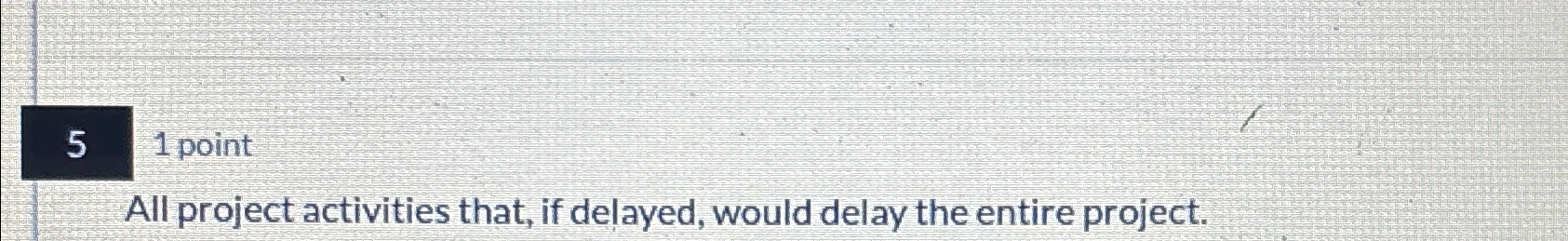  51 point All project activities that, if delayed, would delay the