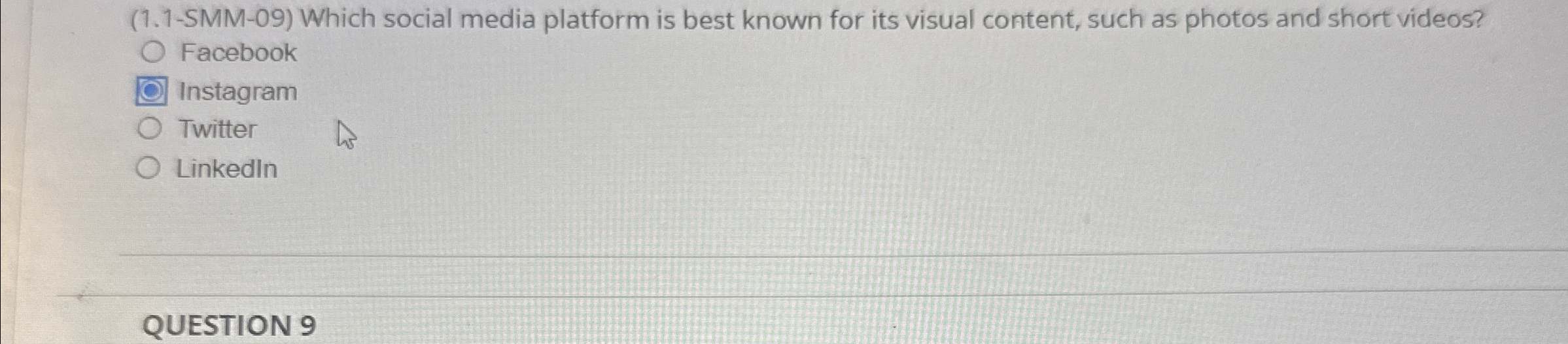  (1.1-SMM-09) Which social media platform is best known for its visual