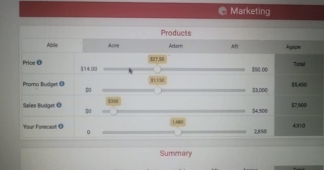  C. Marketing Summary 