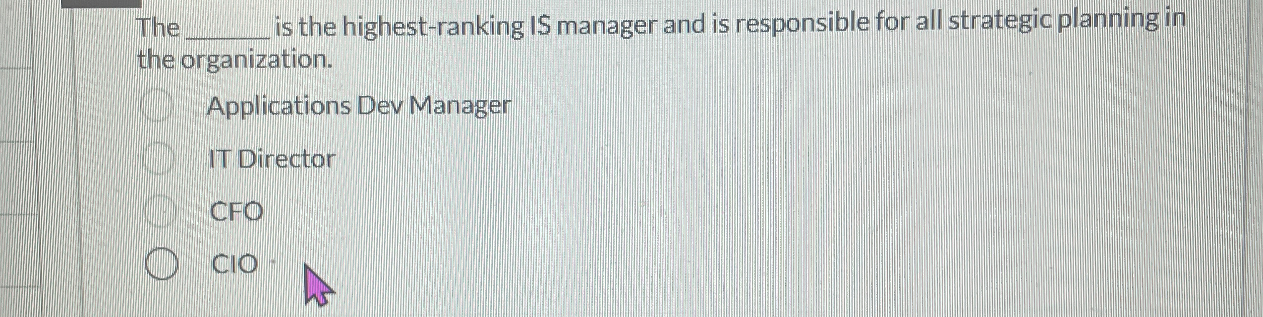  The q, is the highest-ranking IS manager and is responsible for