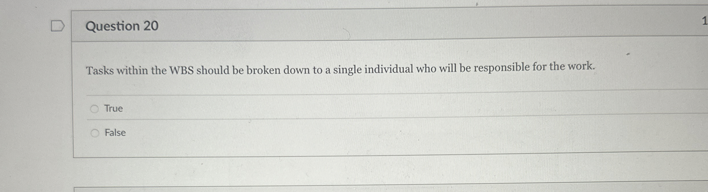  Question 20 Tasks within the WBS should be broken down to
