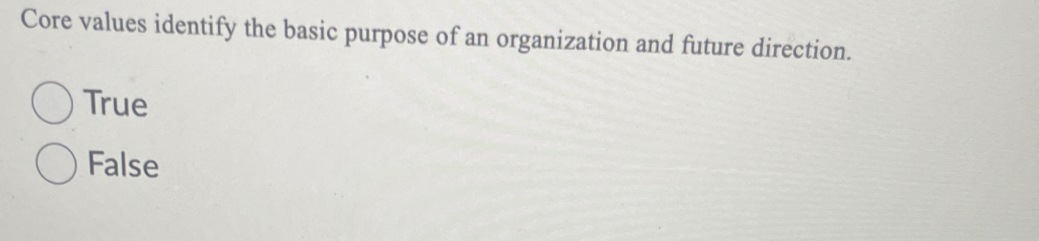  Core values identify the basic purpose of an organization and future