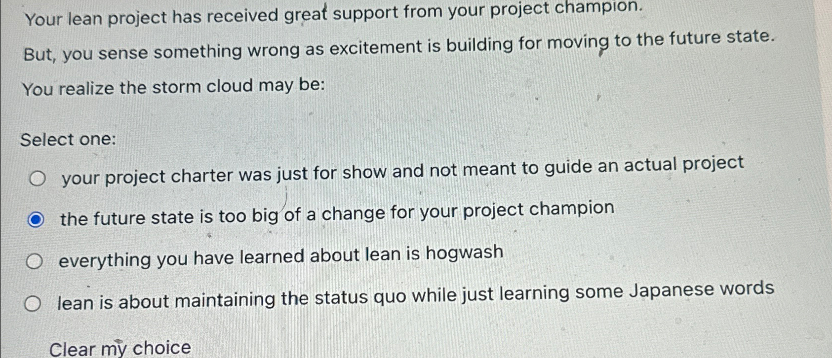  Your lean project has received great support from your project champion.