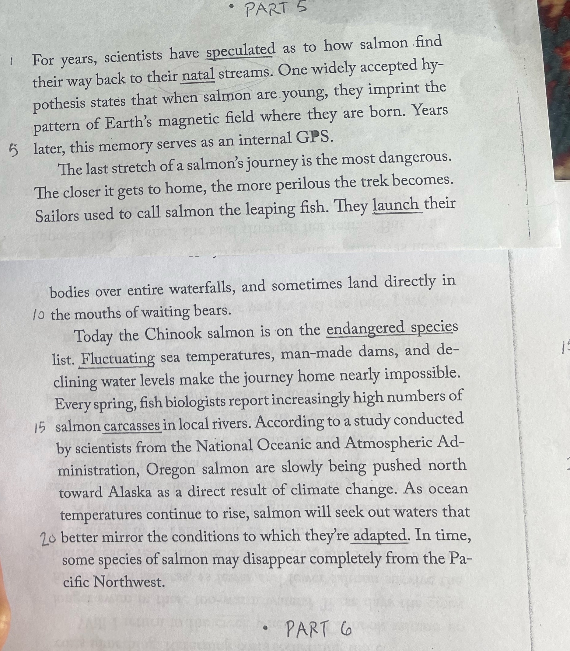  Summary paragraph for this part i For years, scientists have speculated